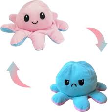 Sensory Plush Toys